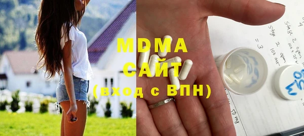 индика Саяногорск