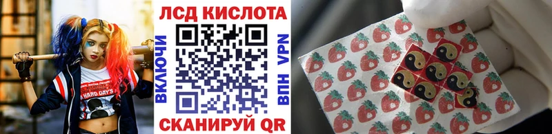 Наркотические марки 1500мкг где купить наркоту Вязьма